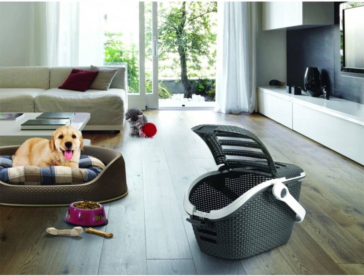 Huisdierbenodigdheden Verkoop 2024 -Huisdierbenodigdheden Verkoop 2024