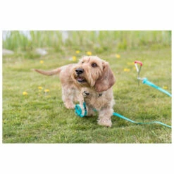 TRIXIE Grondpen 40 Cm/Ø 9 Mm 7 TRIXIE Grondpen 40 Cm/Ø 9 Mm -Huisdierbenodigdheden Verkoop 2024 2259 2