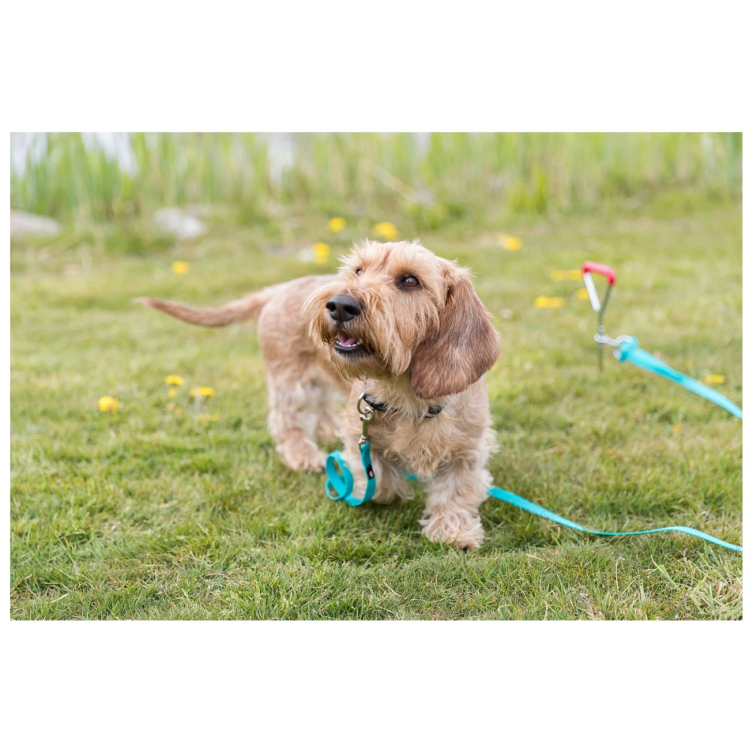 TRIXIE Grondpen 40 Cm/Ø 9 Mm 5 TRIXIE Grondpen 40 Cm/Ø 9 Mm - Image 3