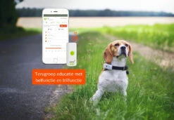 Weenect Dogs 2 GPS Tracker -Huisdierbenodigdheden Verkoop 2024 37700003000175