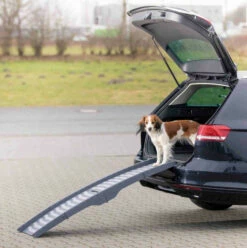 TRIXIE Loopplank Drievoudig Inklapbaar -Huisdierbenodigdheden Verkoop 2024 39476 3