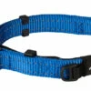 Rogz Beltz Utility Halsband Safety Blue -Huisdierbenodigdheden Verkoop 2024 RHBS16BDET0