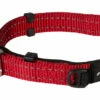Rogz Beltz Utility Halsband Safety Red -Huisdierbenodigdheden Verkoop 2024 RHBS16CDET0