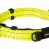 Rogz Beltz Utility Halsband Safety Yellow -Huisdierbenodigdheden Verkoop 2024 RHBS16HDET0