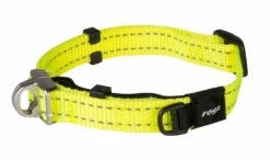 Rogz Beltz Utility Halsband Safety Yellow