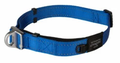 Rogz Beltz Utility Halsband Safety Blue -Huisdierbenodigdheden Verkoop 2024 RHBS25BDET0
