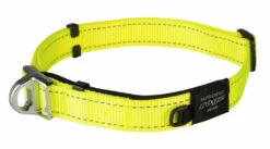 Rogz Beltz Utility Halsband Safety Yellow -Huisdierbenodigdheden Verkoop 2024 RHBS25HDET0