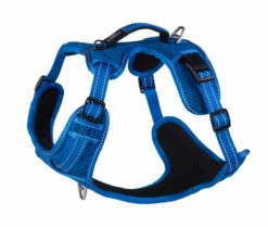 Rogz Hondentuig Explore Blue -Huisdierbenodigdheden Verkoop 2024 RSJX06B DET0