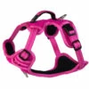 Rogz Hondentuig Explore Pink 2 Rogz Hondentuig Explore Pink -Huisdierbenodigdheden Verkoop 2024 RSJX14K DET0